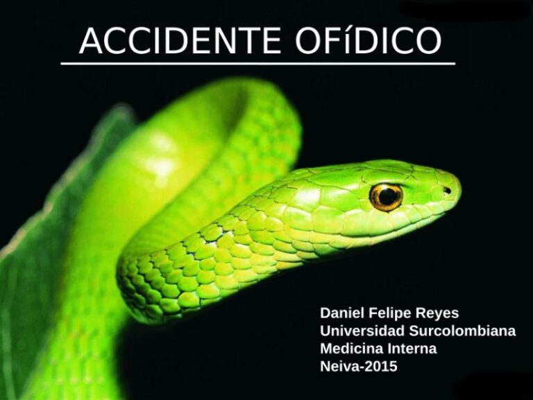 accidente-ofidico