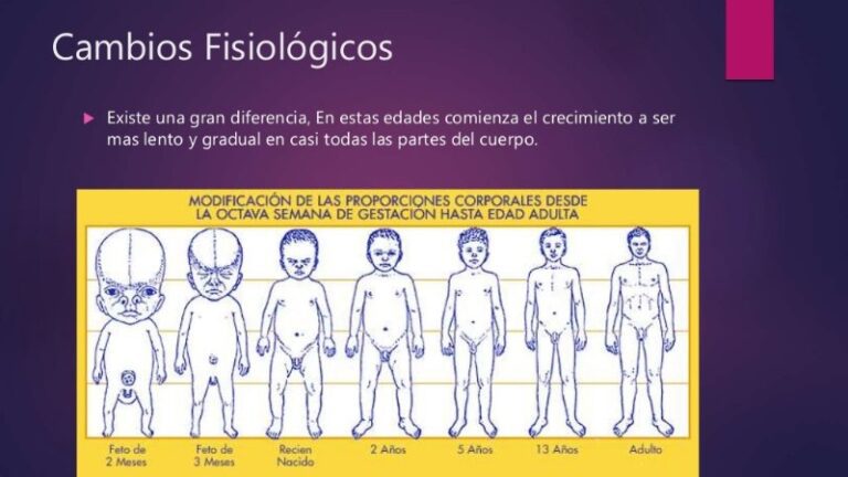 cambio-fisiologico