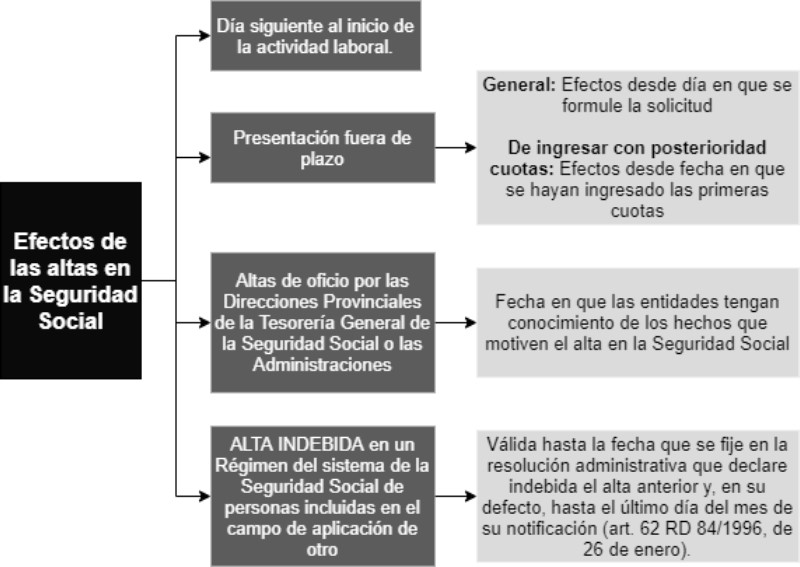 causa-baja-seguridad-social
