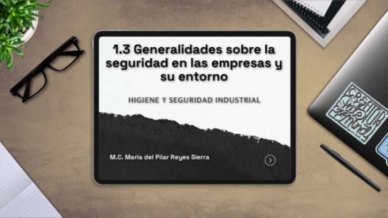 generalidades-sobre-la-seguridad-en-las-empresas-y-su-entorno