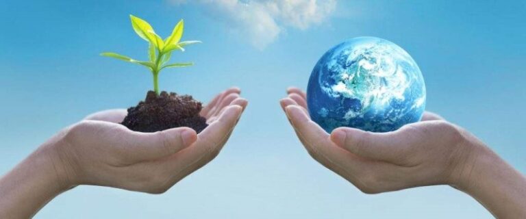 higiene-ambiental