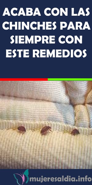 huevos-de-chinches-como-eliminarlos