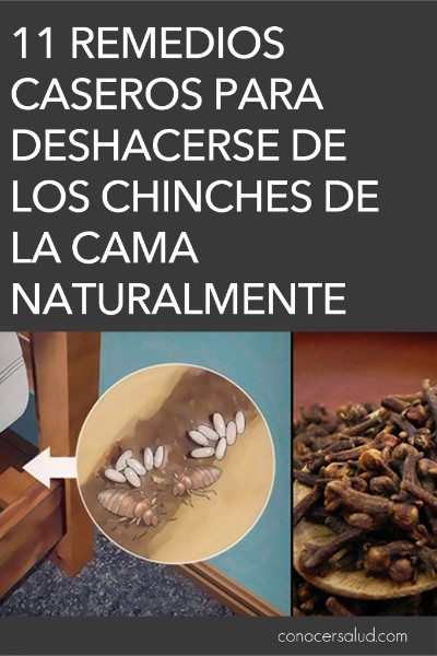 remedio-para-las-chinches
