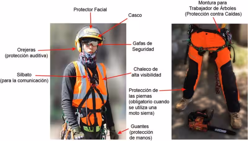 Equipo de Seguridad para Podar Árboles: Protegiendo Tu Bienestar